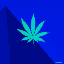Medicalize Marijuana GIF