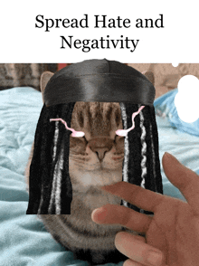 a cat wearing a headband with the words spread hate and negativity