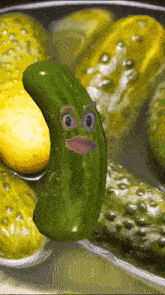 Fun Funny GIF - Fun Funny Pickle GIFs