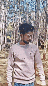 a man with a beard is standing in a forest wearing a pink sweater .