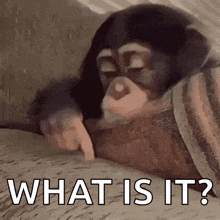 a chimpanzee is laying on a couch and pointing at something with its finger .