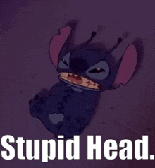 a picture of stitch with the words stupid head on the bottom