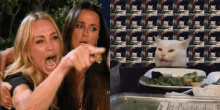 Smudge Cat Smudge The Cat GIF - Smudge Cat Smudge The Cat Smudge GIFs