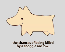 snoggle chances are low