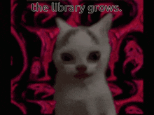 The Library Grows הספרייה גדלה GIF - The Library Grows The Library הספרייה גדלה GIFs