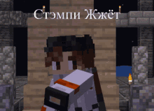 a screenshot of a minecraft character with the name stompi written on the bottom