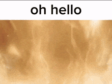 a picture of a fire with the words oh hello above it