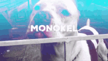 music monokel