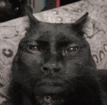 a black cat with horns on its head is laying on a bed and looking at the camera .