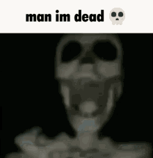 Skeleton Meme GIF - Skeleton Meme GIFs