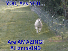 You Are Amazing Fortnite Llama Kind Llamakind Mama Mamallama GIF - You Are Amazing Fortnite Llama Kind Llamakind Mama Mamallama GIFs