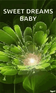 Sweet Dreams Baby Sparkles GIF - Sweet Dreams Baby Sparkles Flowers GIFs