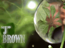 Im A Celebrity Get Me Out Of Here J Brown GIF - Im A Celebrity Get Me Out Of Here J Brown Jason J Brown GIFs