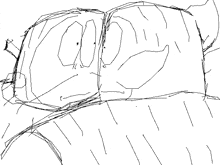 a black and white drawing of a person 's face with arrows pointing to different directions