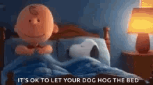 Snoopy Dogs GIF - Snoopy Dogs Sleep Time GIFs