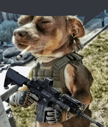 Dog Army GIF