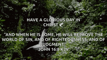 a picture of a waterfall with the words have a glorious day in christ on it