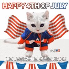 Happy4thjuly America Cat GIF - Happy4thjuly Happy America Cat GIFs