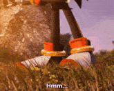 shadow the hedgehog standing in the grass with the words hmm