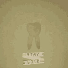 Stay Gold GIF - Stay Gold Stay Golden GIFs