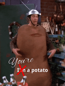 You'Re A Potato Ross GIF - You'Re A Potato Ross Ross Geller GIFs