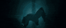 a person is crawling in a dark room with a red light behind them that says ' r '