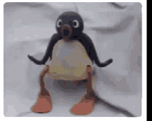 Pingu Penguin GIF - Pingu Penguin What GIFs