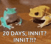 two frogs are sitting next to each other with the words 20 days , innit ? innit ? on the bottom .
