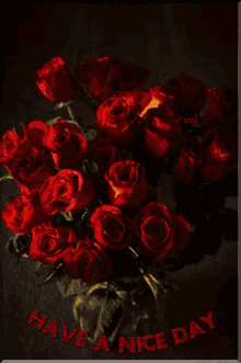 sz%C3%A9p napot have a nice day roses flower