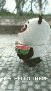 Hello There Hey You GIF - Hello There Hey You Cute Panda GIFs