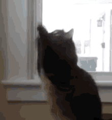 Let Me Pull In The Chi Of This Room GIF - Cat Chi Pray GIFs