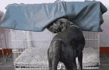 Bed Bed Time GIF - Bed Bed Time GIFs