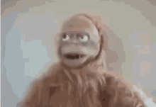 Crazy Eye Monster GIF - Crazy Eye Monster Robot Orangutan GIFs