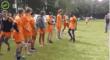 a group of soccer players are standing in a line on a field