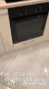 a picture of an oven with a caption that says stop stealing my mf shit dog