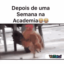 academia valtatui after a week at the gym chicken