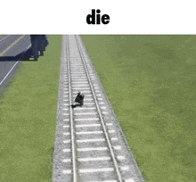 a person is walking down train tracks next to a grassy field .