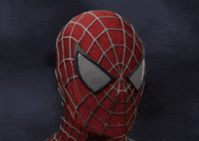 a close up of a spider man mask with a spider web pattern