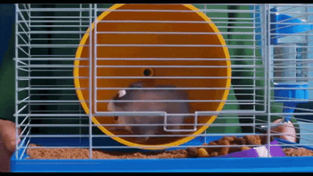 Hamster The Secret Life Of Pets2 GIF - Hamster The Secret Life Of Pets2 Running GIFs