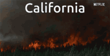Cali Fire GIF - Cali Fire GIFs