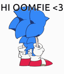 Hioomfie Sonic GIF