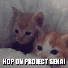 Project Sekai Pjsekai GIF - Project Sekai Pjsekai Prsk GIFs