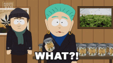What The Mayor GIF - What The Mayor South Park GIFs