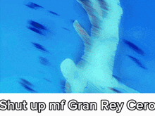 a blue background with the words " shut up mf gran rey cero "