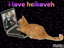Haikaveh Kavetham GIF