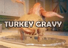 Turkey Gravy GIF - Turkey Gravy All The Fixins GIFs