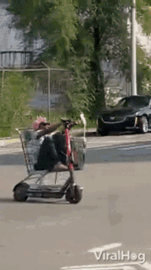 ride viralhog scooter cart speed