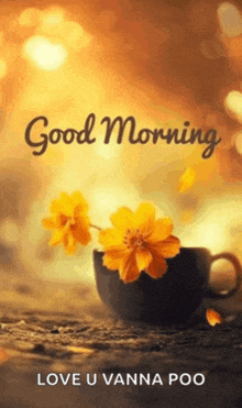 Good Morning GIF