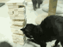 Very Talented Cat GIF - Cats Jenga Smartcart GIFs