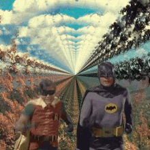 Batman Robin GIF - Batman Robin Caped GIFs